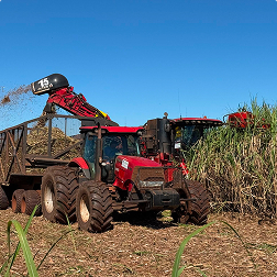 Sugarcane harvester loading cane onto transport truck